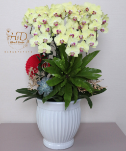 Hồ Điệp Trắng Mix Tím AP6C-2 - L605