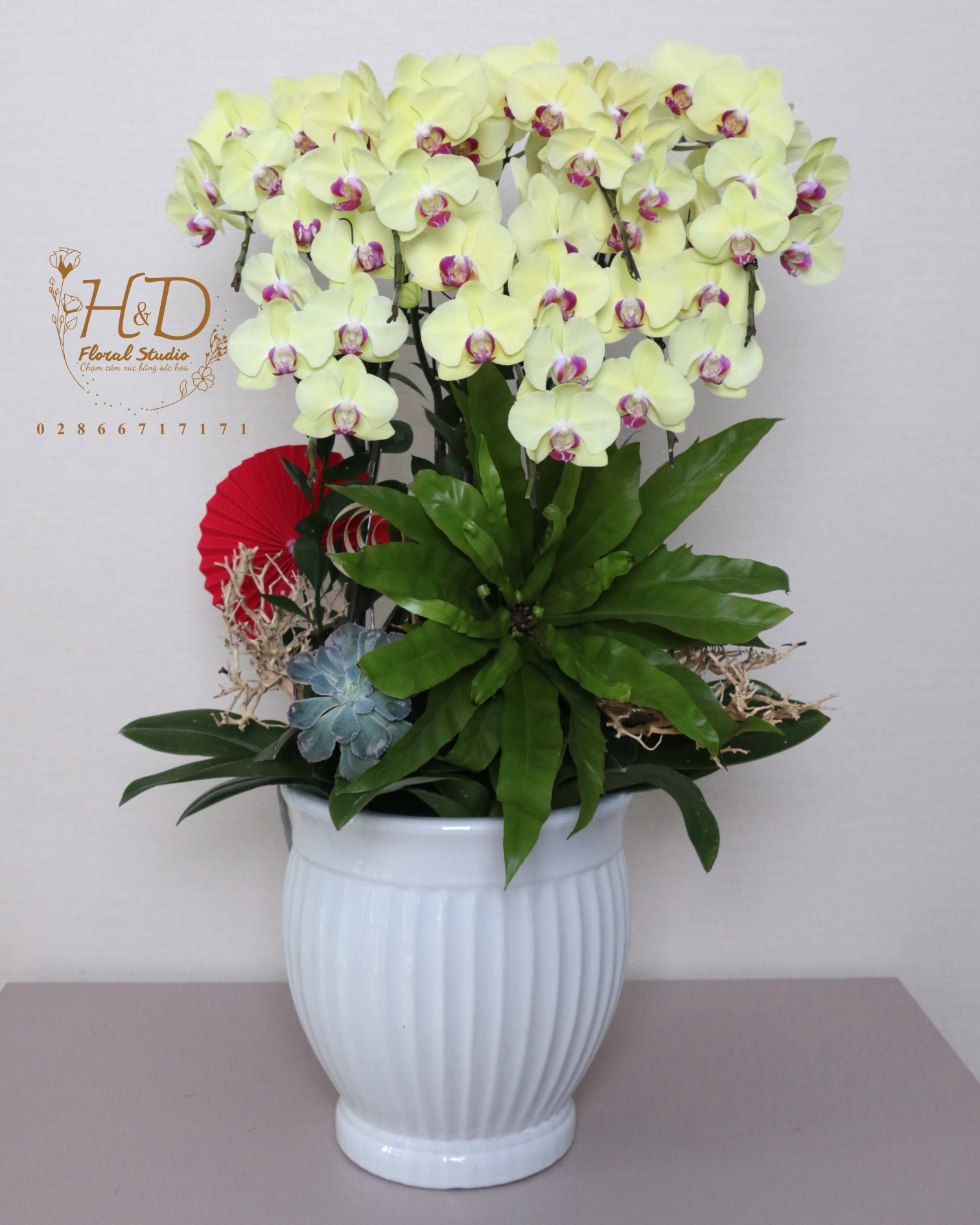 Hồ Điệp Trắng Mix Tím AP6C-2 - L605