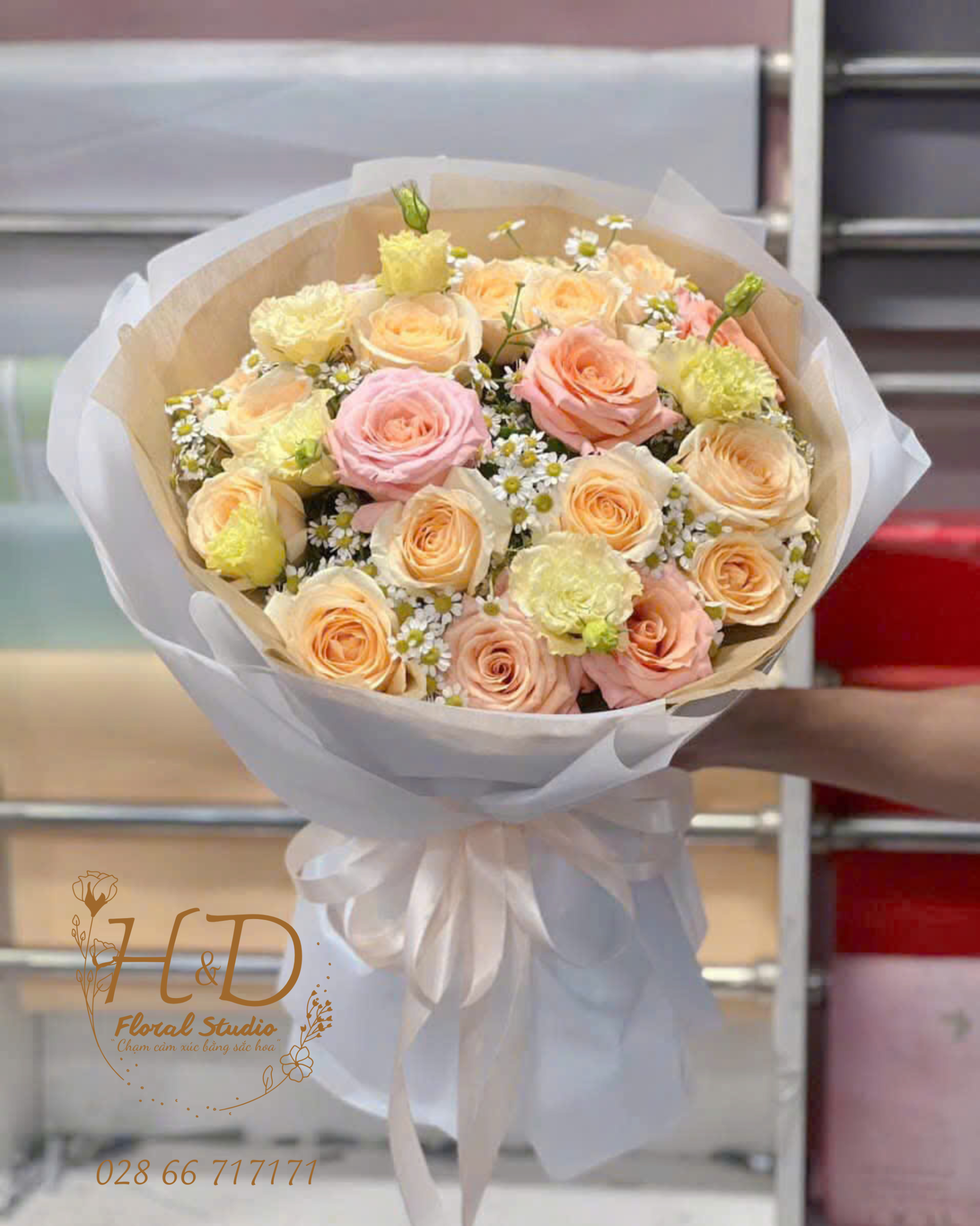 Sắc Màu Bình Yên - B008