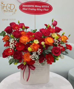 Khởi Đầu May Mắn - C006