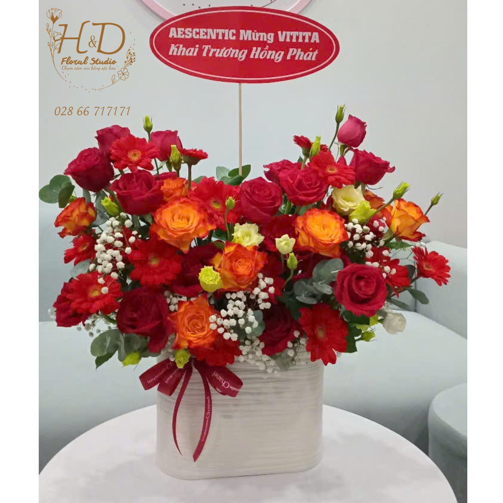 Khởi Đầu May Mắn - C006