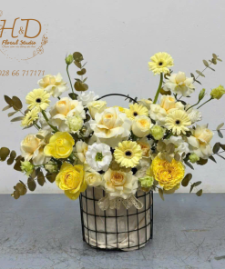 Yellow Sunshine - C008