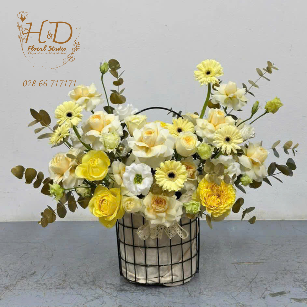 Yellow Sunshine - C008