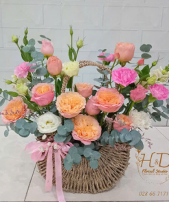 Sắc Xuân Rạng Ngời - C011