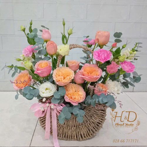 Sắc Xuân Rạng Ngời - C011