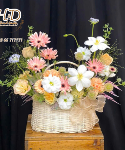 Hạnh Phúc Mộc Mạc - C012