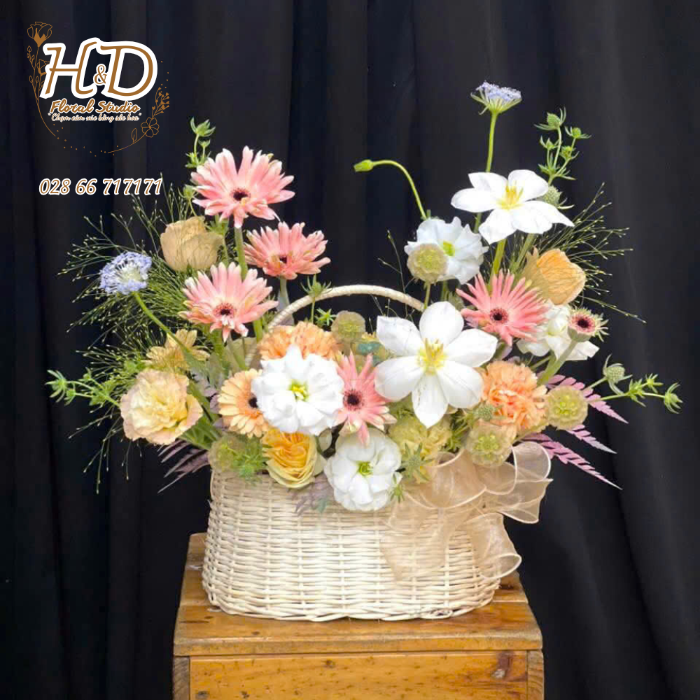 Hạnh Phúc Mộc Mạc - C012